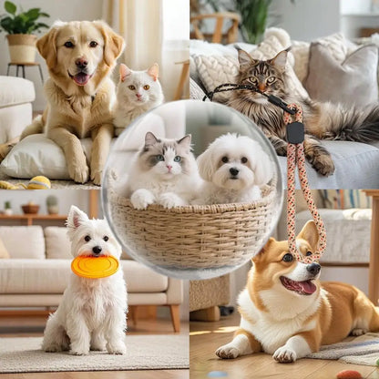 Crystal Video Memory Ball